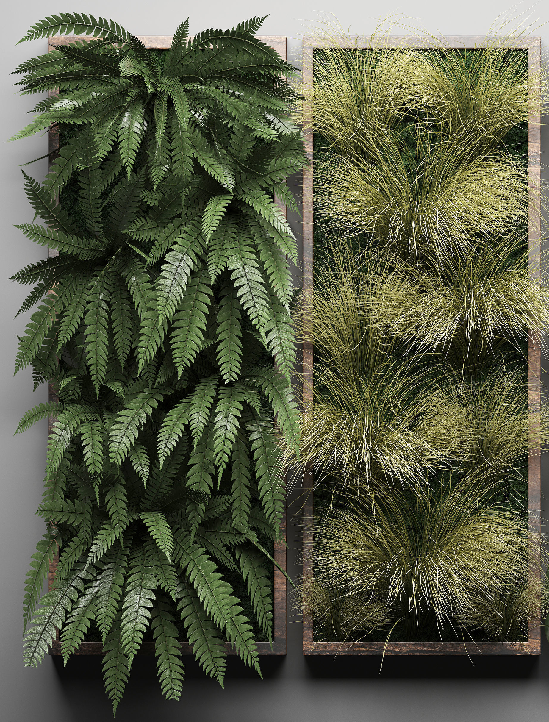 Vertical gardening Fern Wall 3 3D model_2