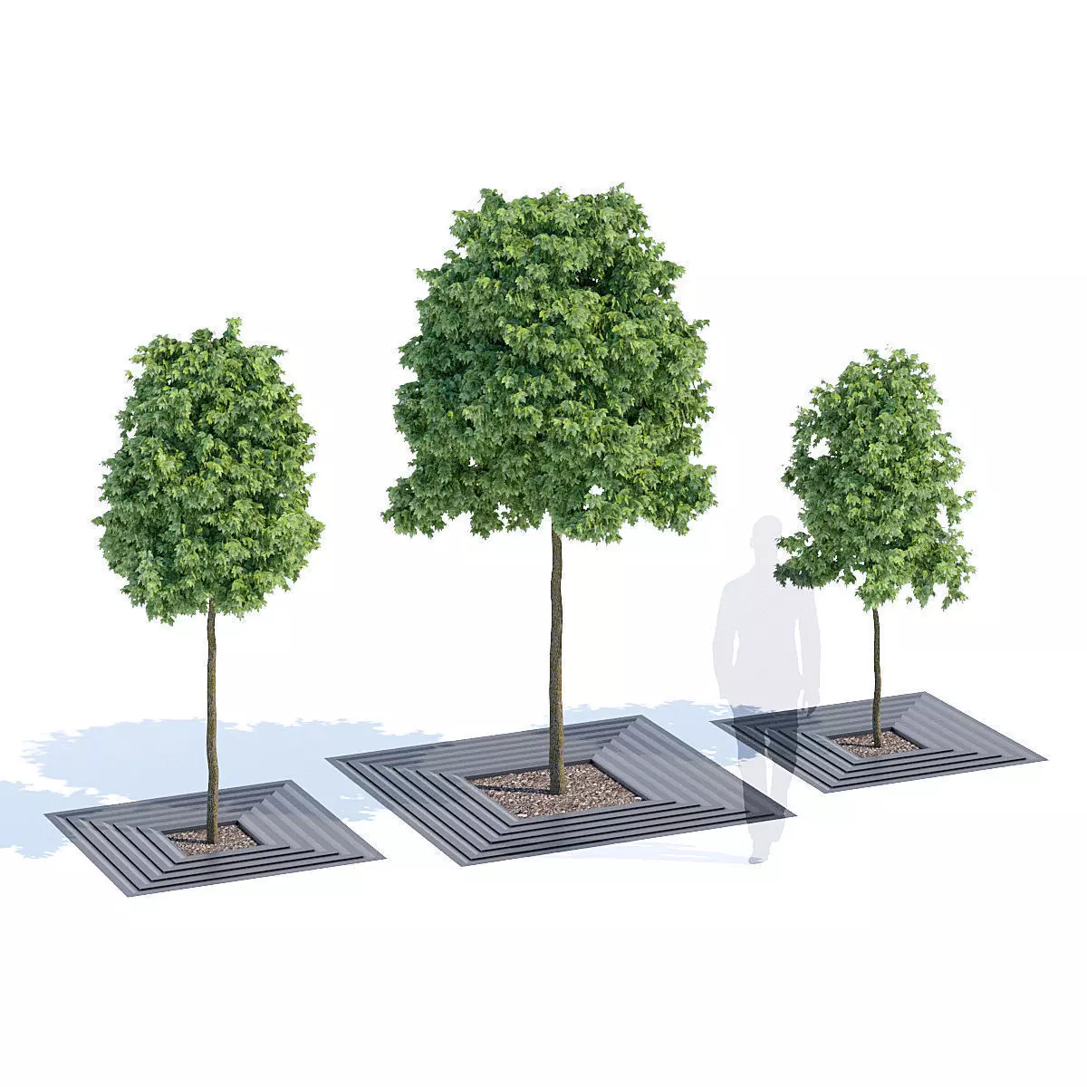 Arboris three trees in square 3D model