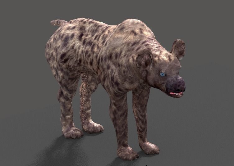 hyena 3D model_11