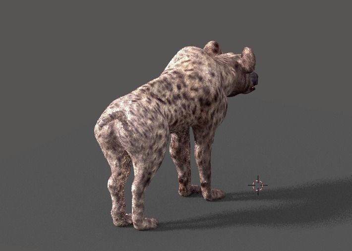 hyena 3D model_16