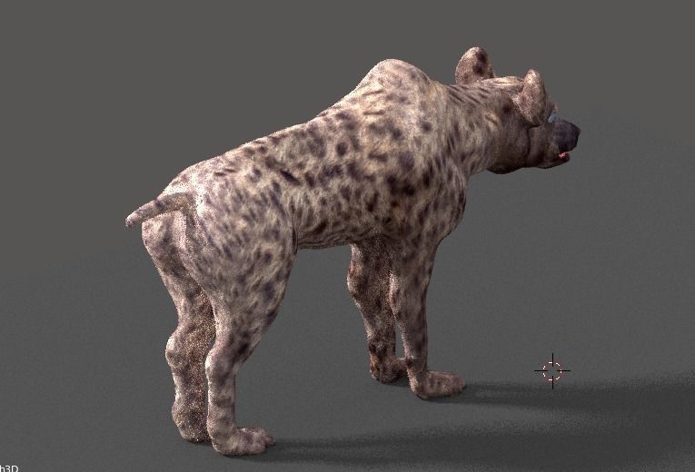 hyena 3D model_2