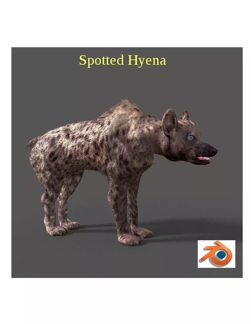 hyena 3D model_0
