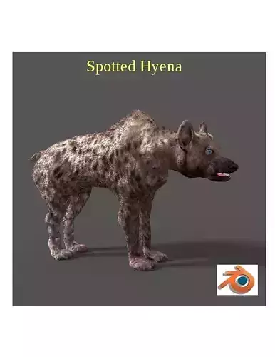 hyena 3D model