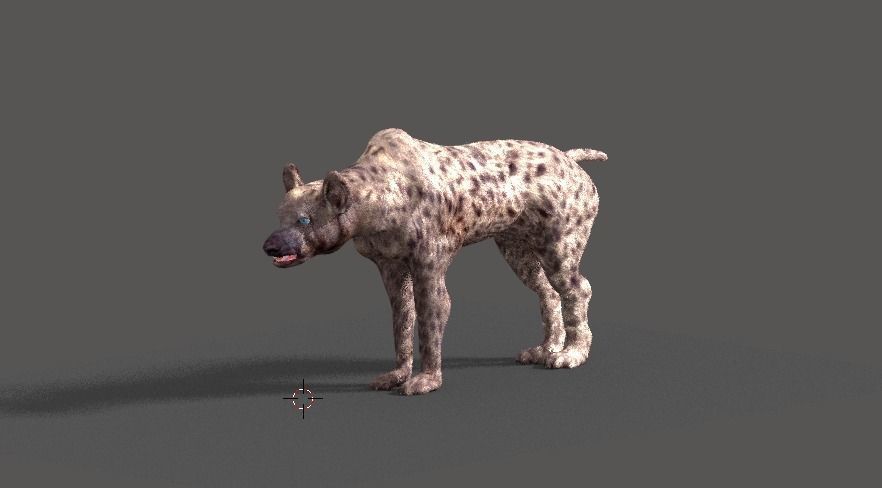 hyena 3D model_12