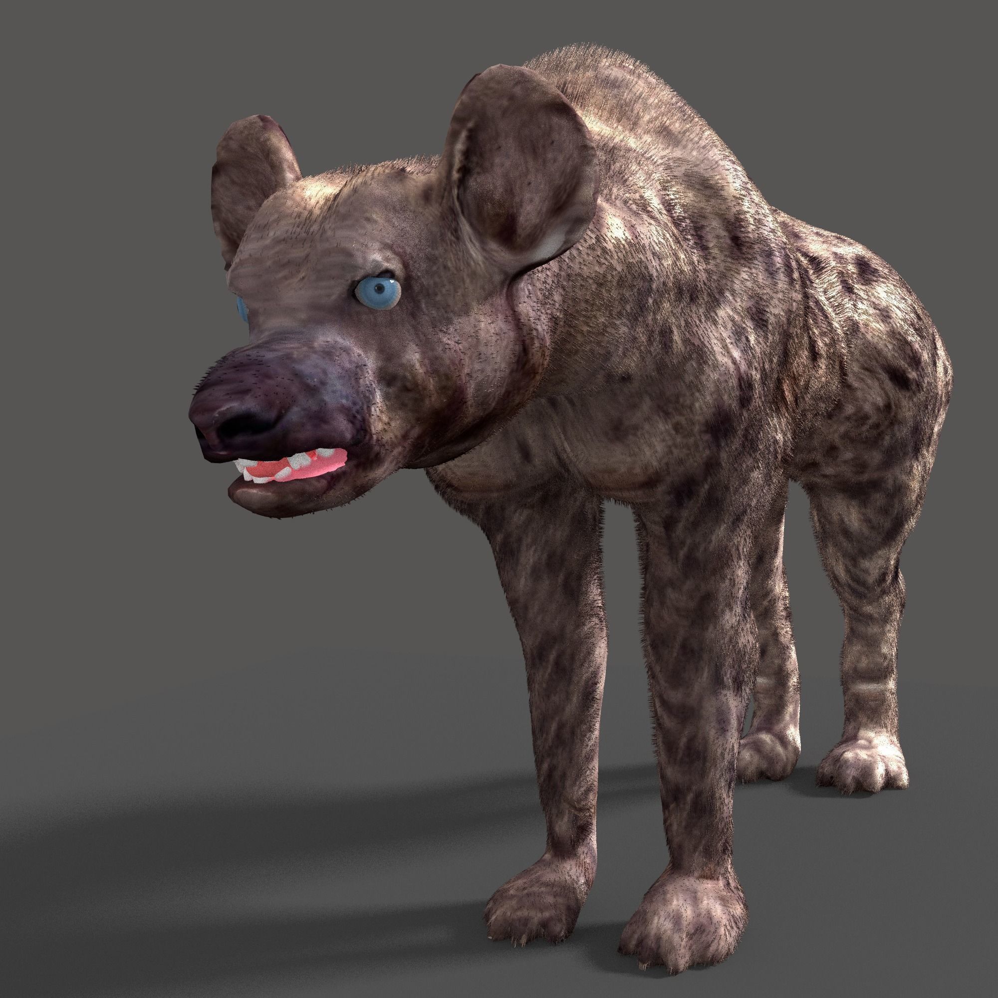 hyena 3D model_6