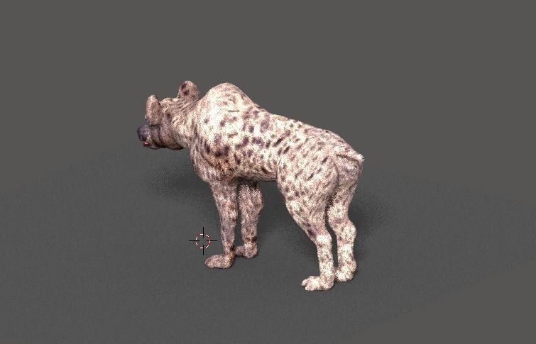 hyena 3D model_14