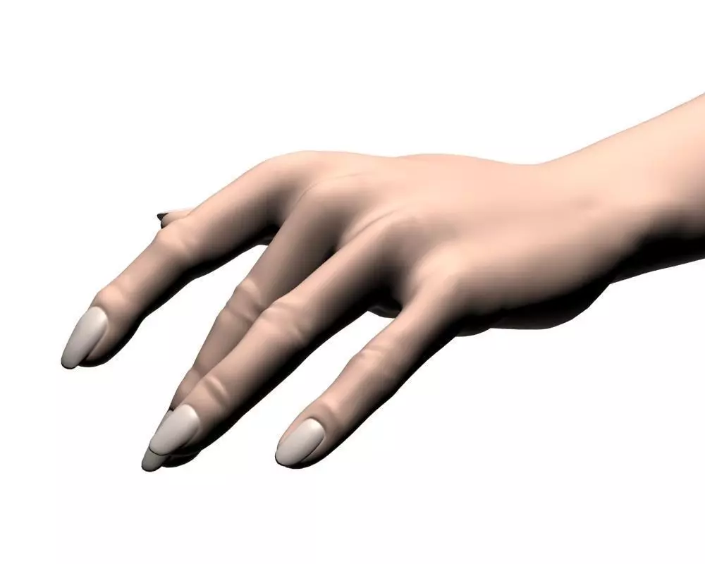 Female hand 04 3D model_0