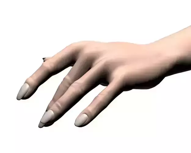 Female hand 04 3D model