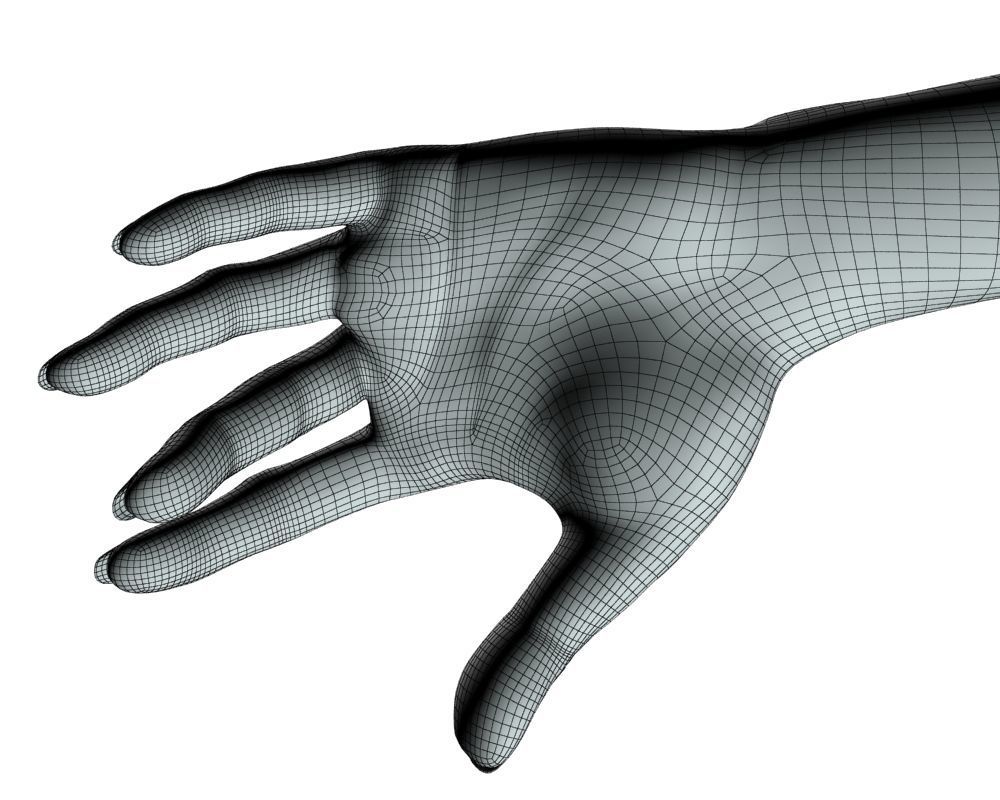 Female hand 04 3D model_23