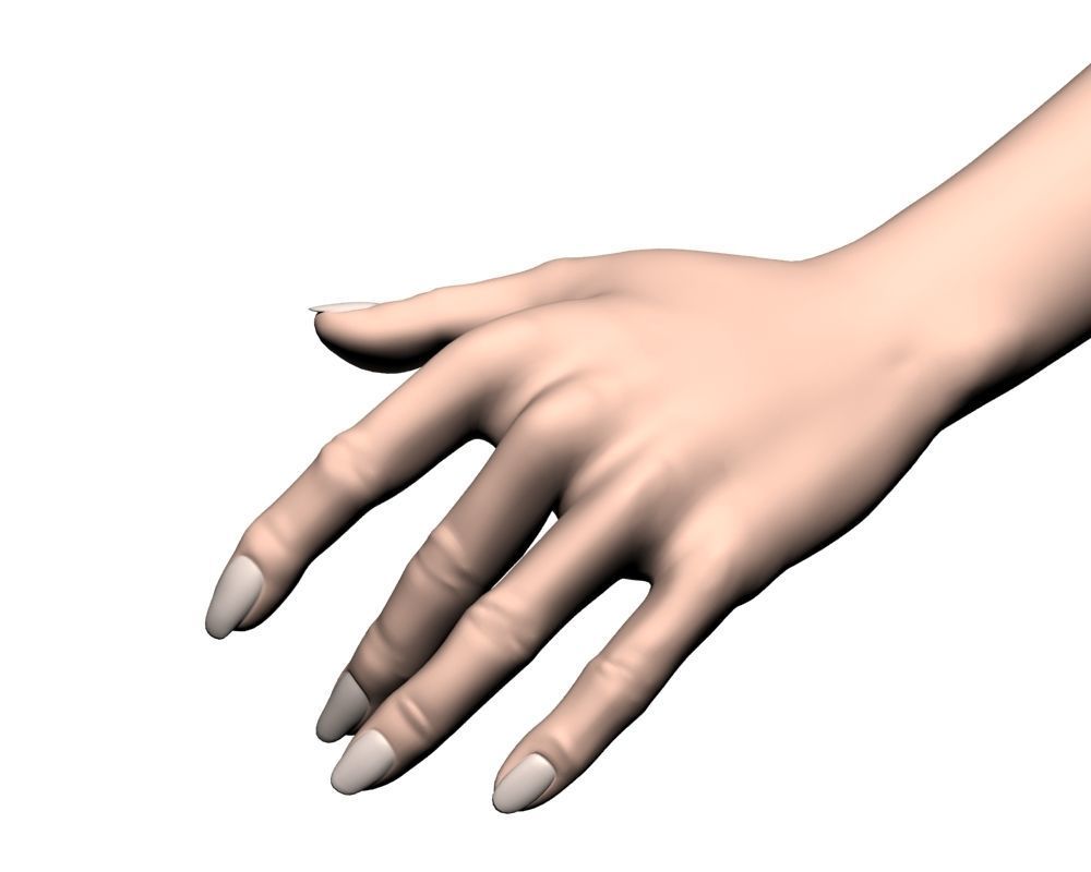 Female hand 04 3D model_8