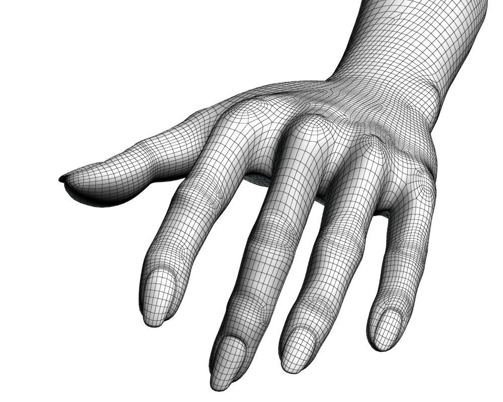 Female hand 04 3D model_19