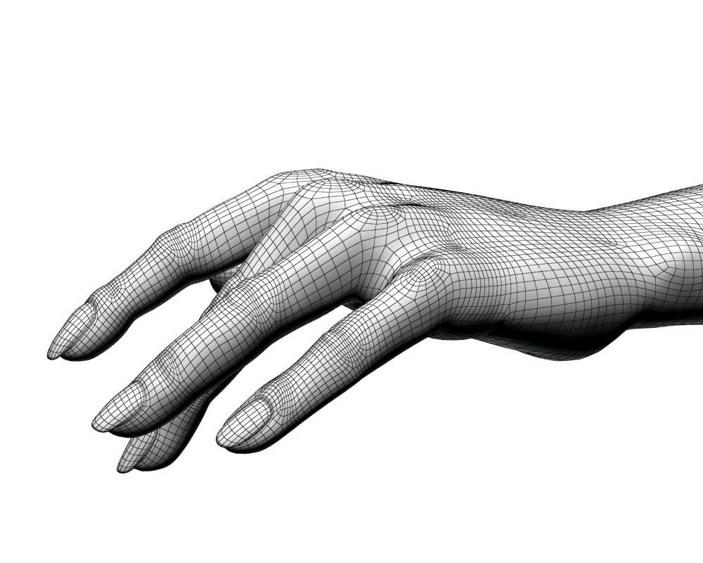 Female hand 04 3D model_21