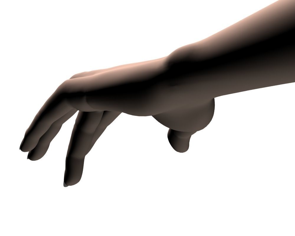 Female hand 04 3D model_13