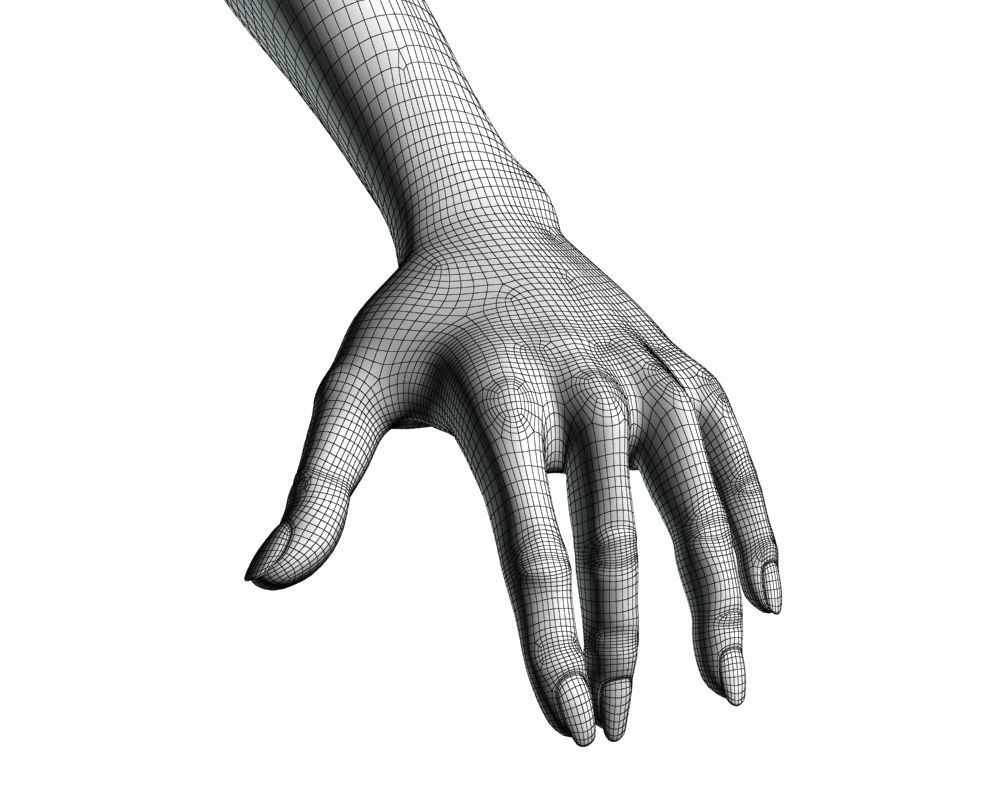 Female hand 04 3D model_14