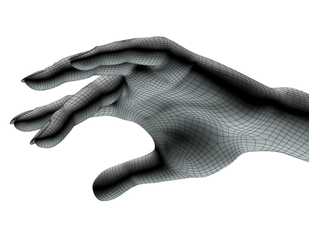 Female hand 04 3D model_22