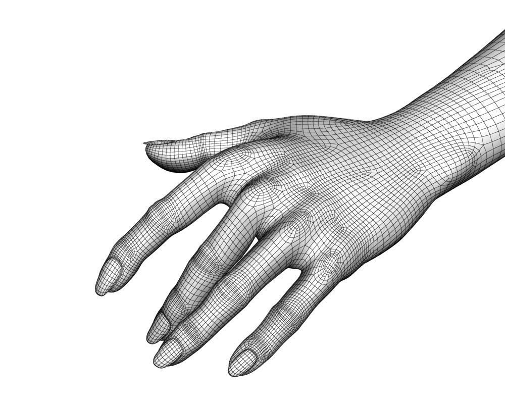 Female hand 04 3D model_20