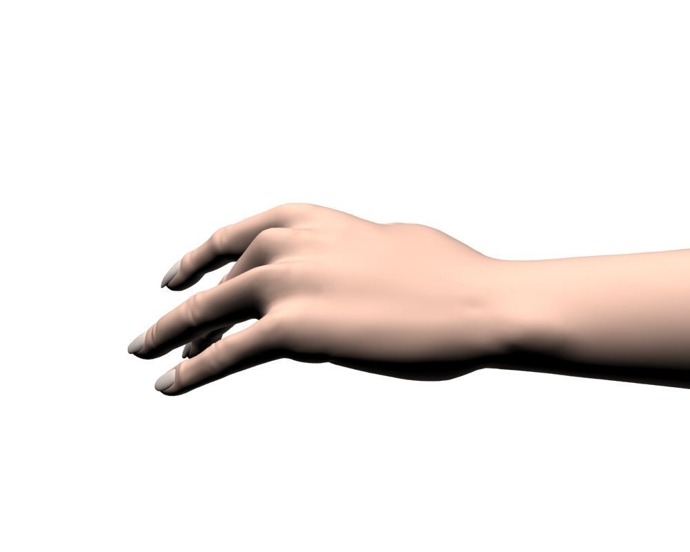 Female hand 04 3D model_12