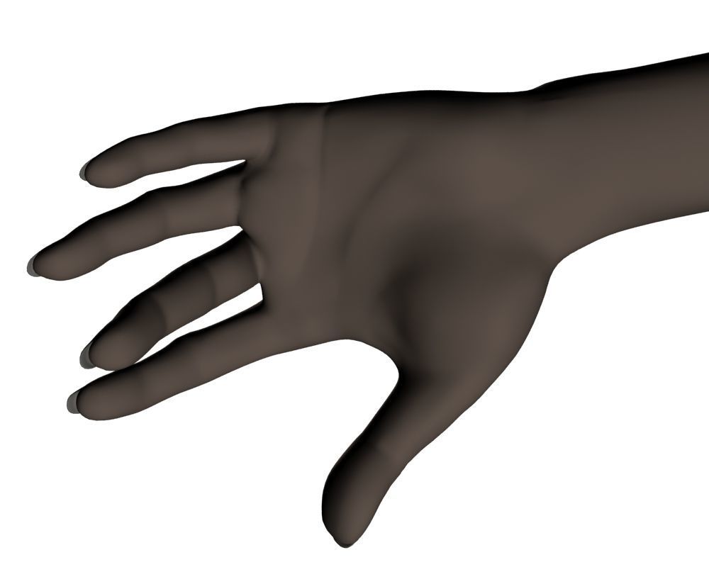 Female hand 04 3D model_11