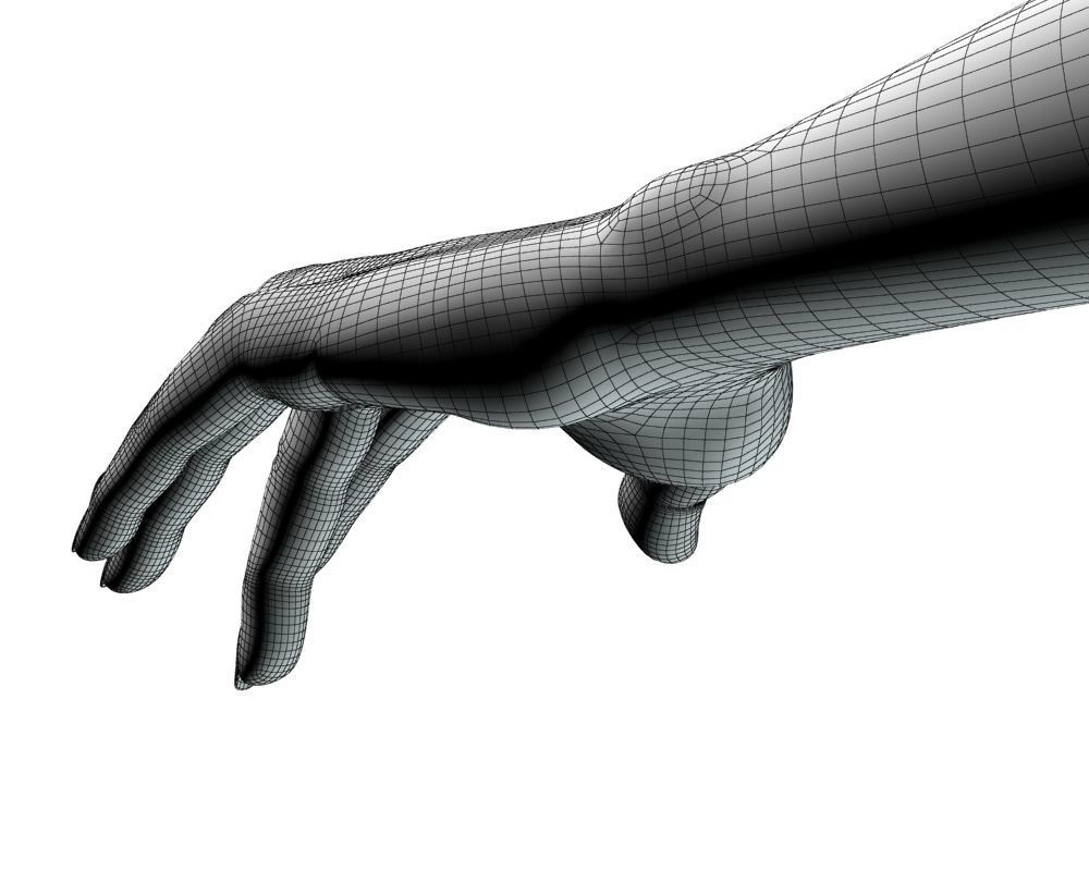Female hand 04 3D model_25