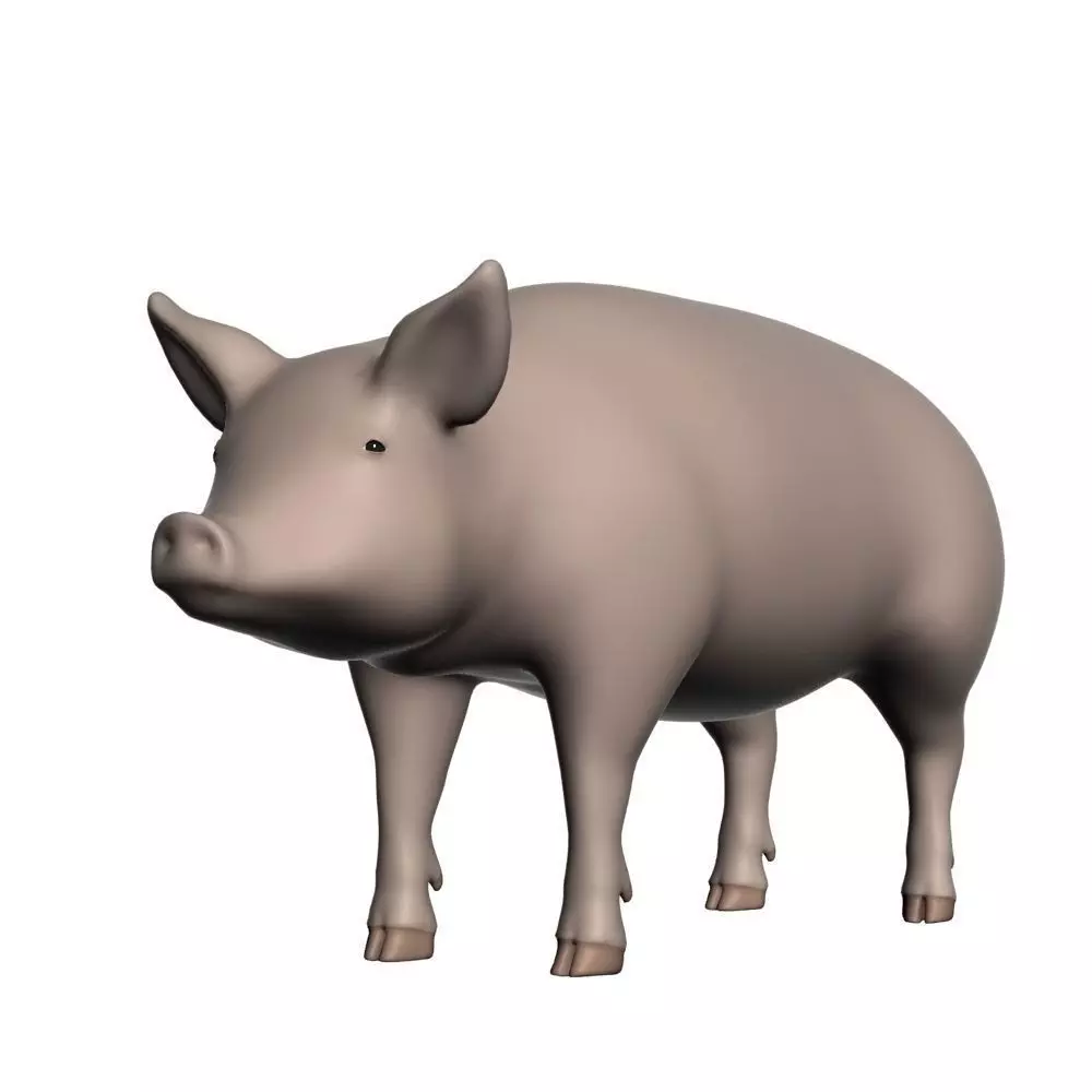 Realistic Pig 001 3D model