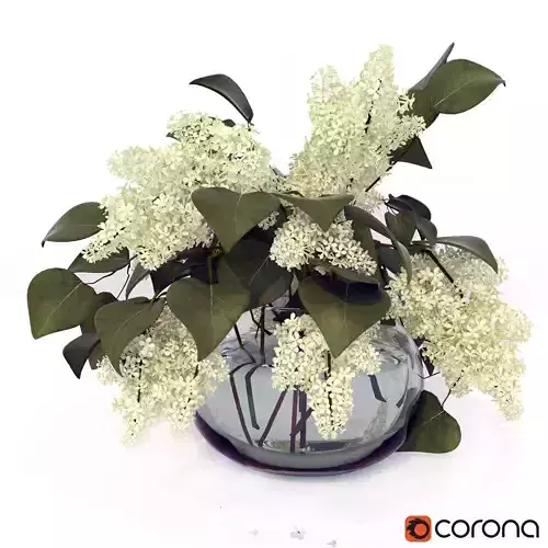 Lilac flowers in glass vase