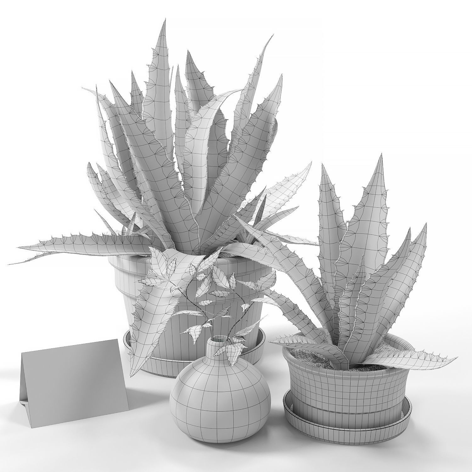 Agave set 01 3D model_1