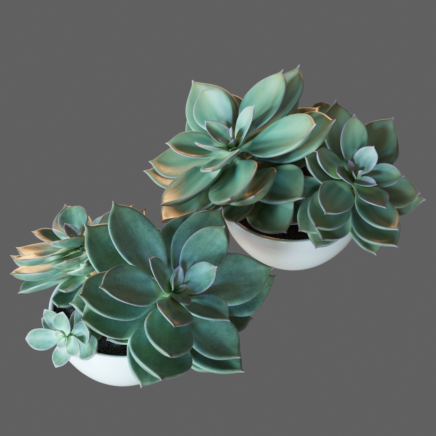 Set of plants 01 3D model_7