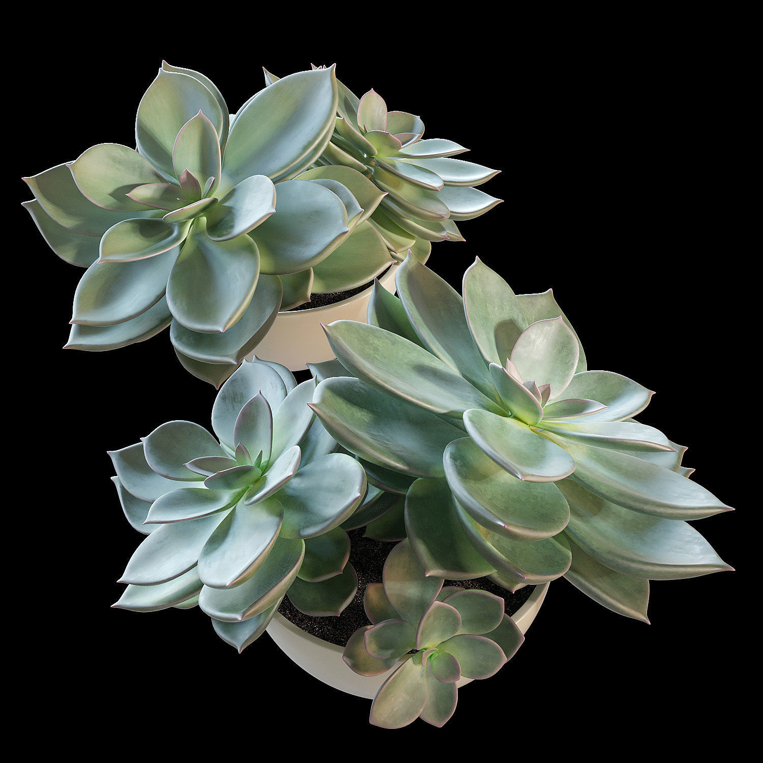 Set of plants 01 3D model_3