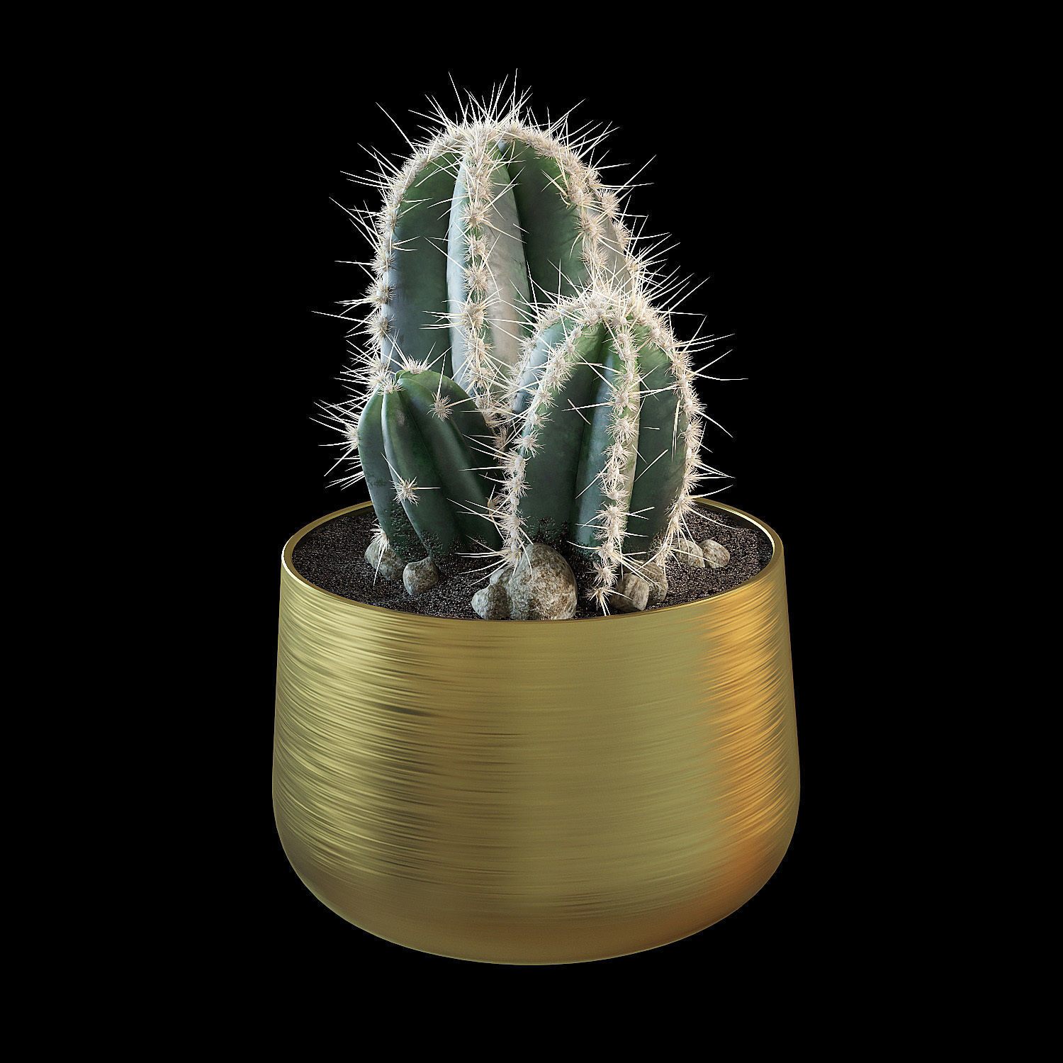 Set of plants 01 3D model_1