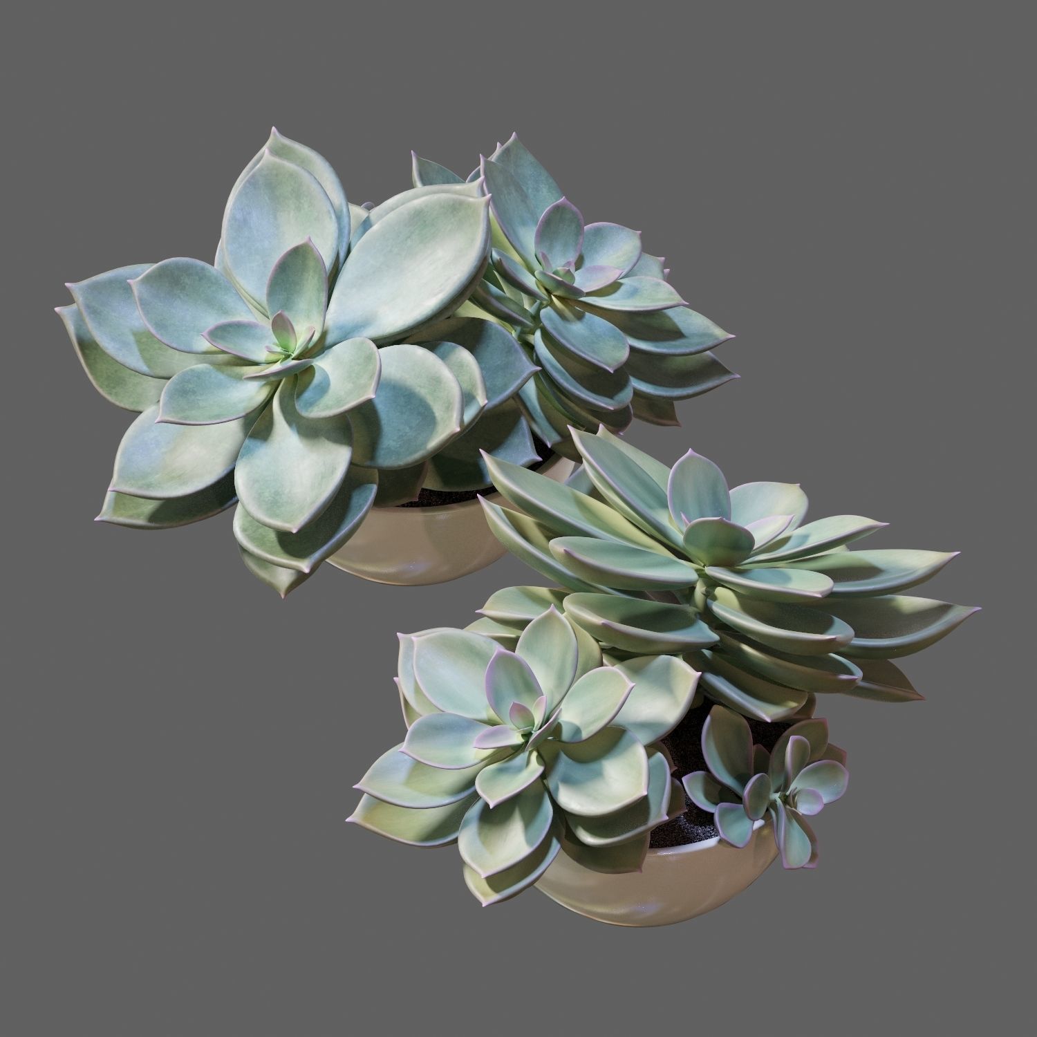 Set of plants 01 3D model_6