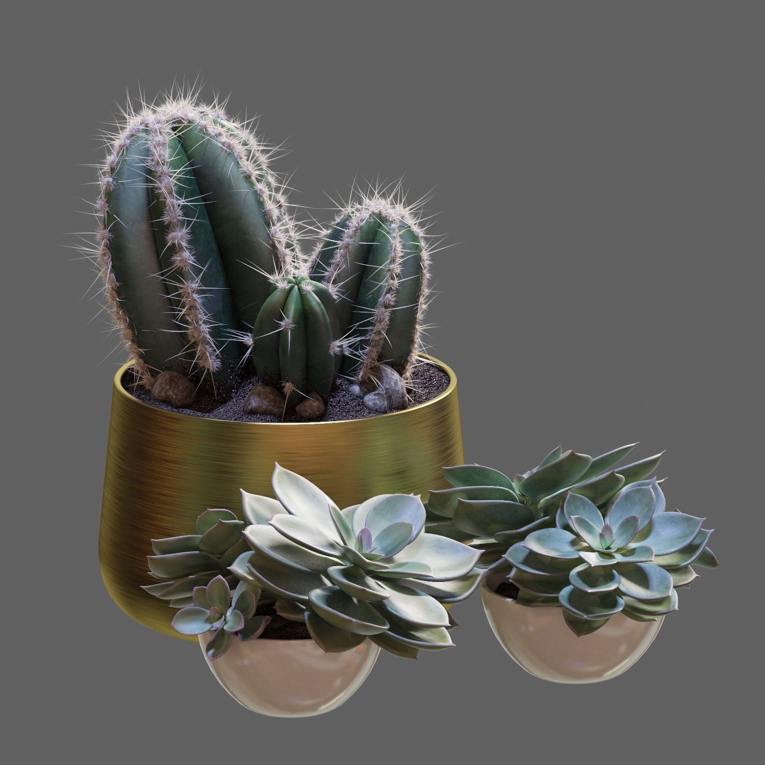 Set of plants 01 3D model_5