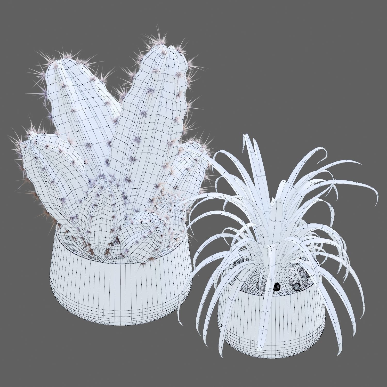 Set of plants 02 3D model_7