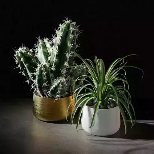 Set of plants 02 3D model