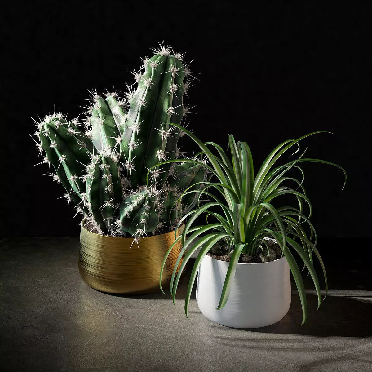 Set of plants 02 3D model_0