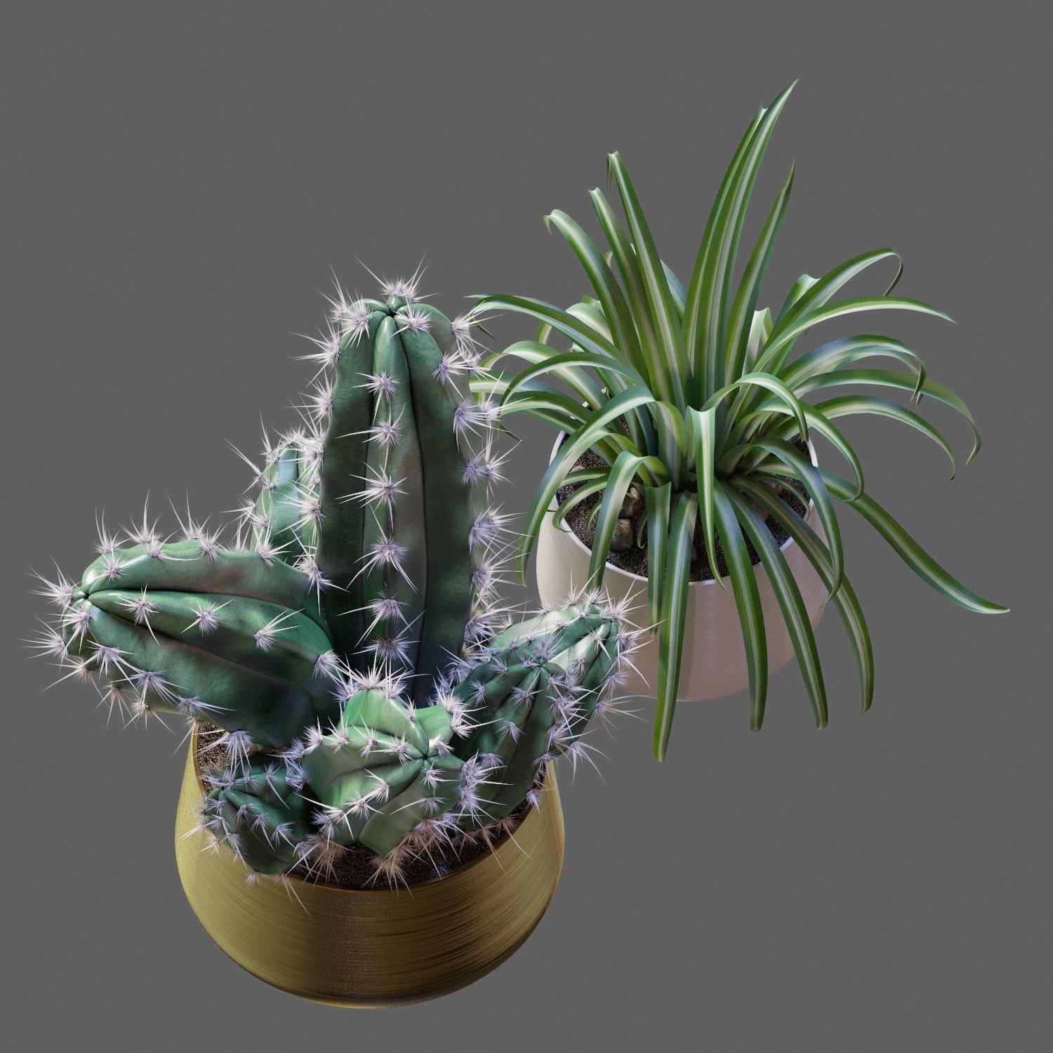 Set of plants 02 3D model_4