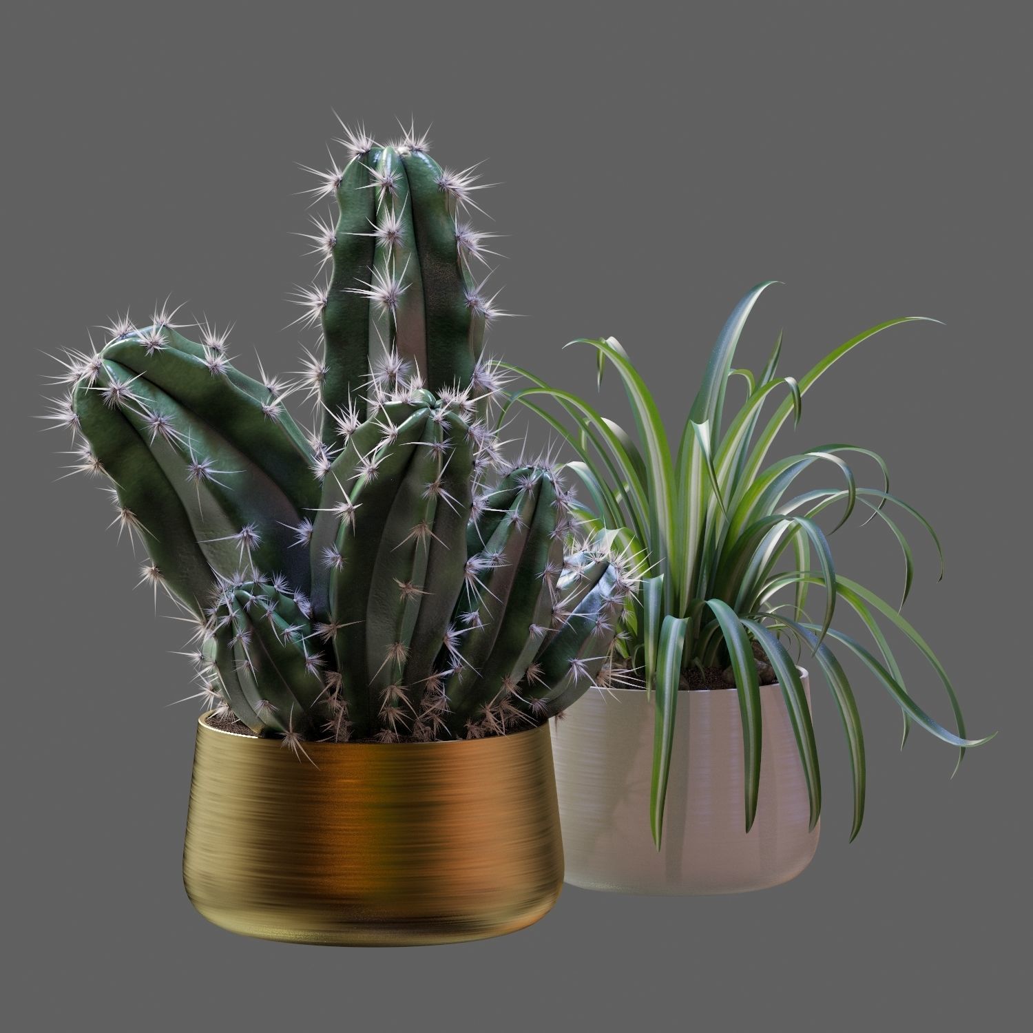 Set of plants 02 3D model_6