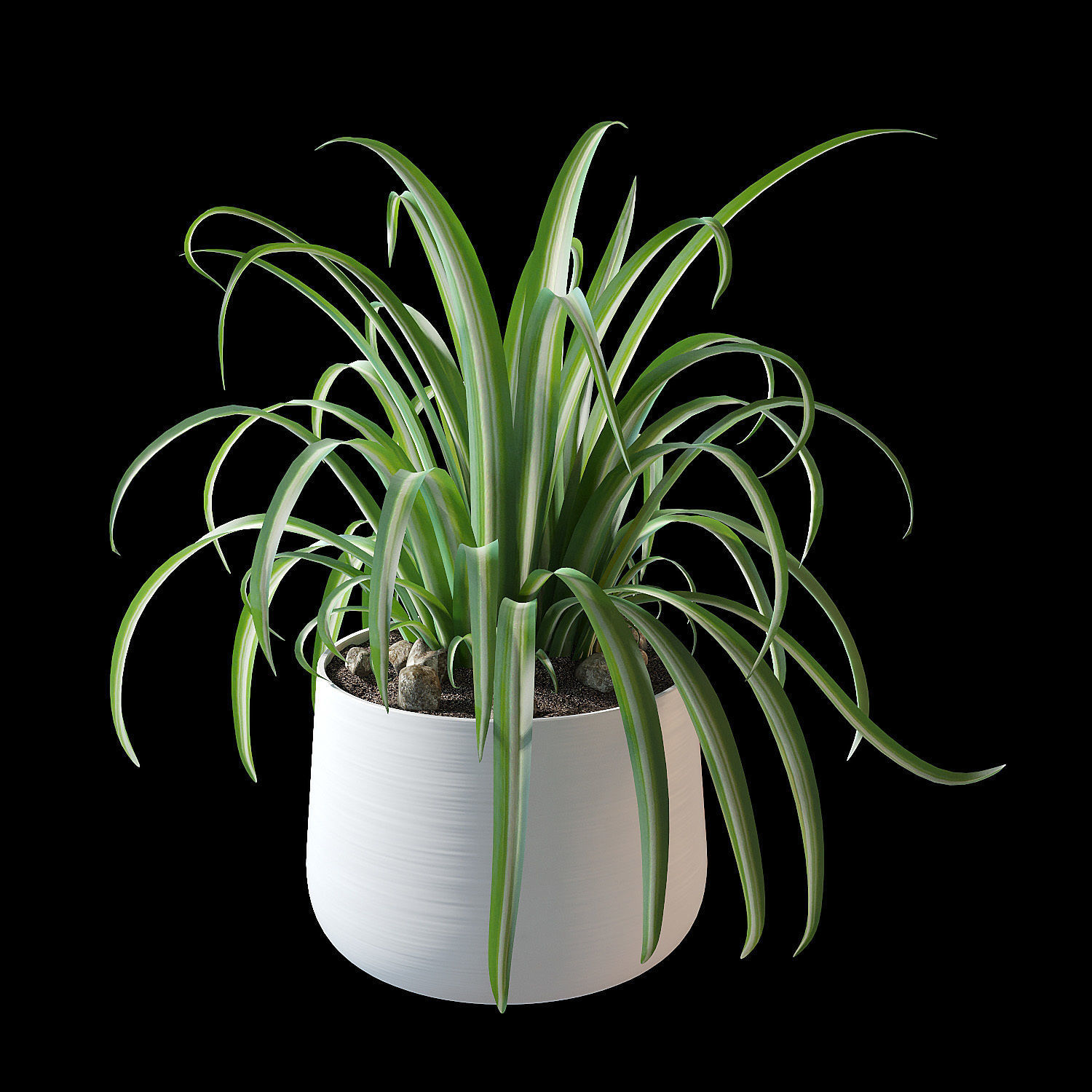 Set of plants 02 3D model_2