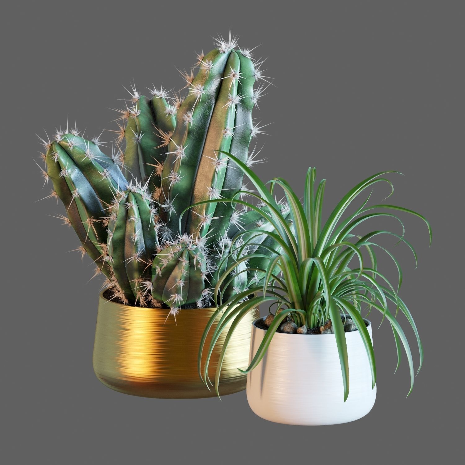 Set of plants 02 3D model_3