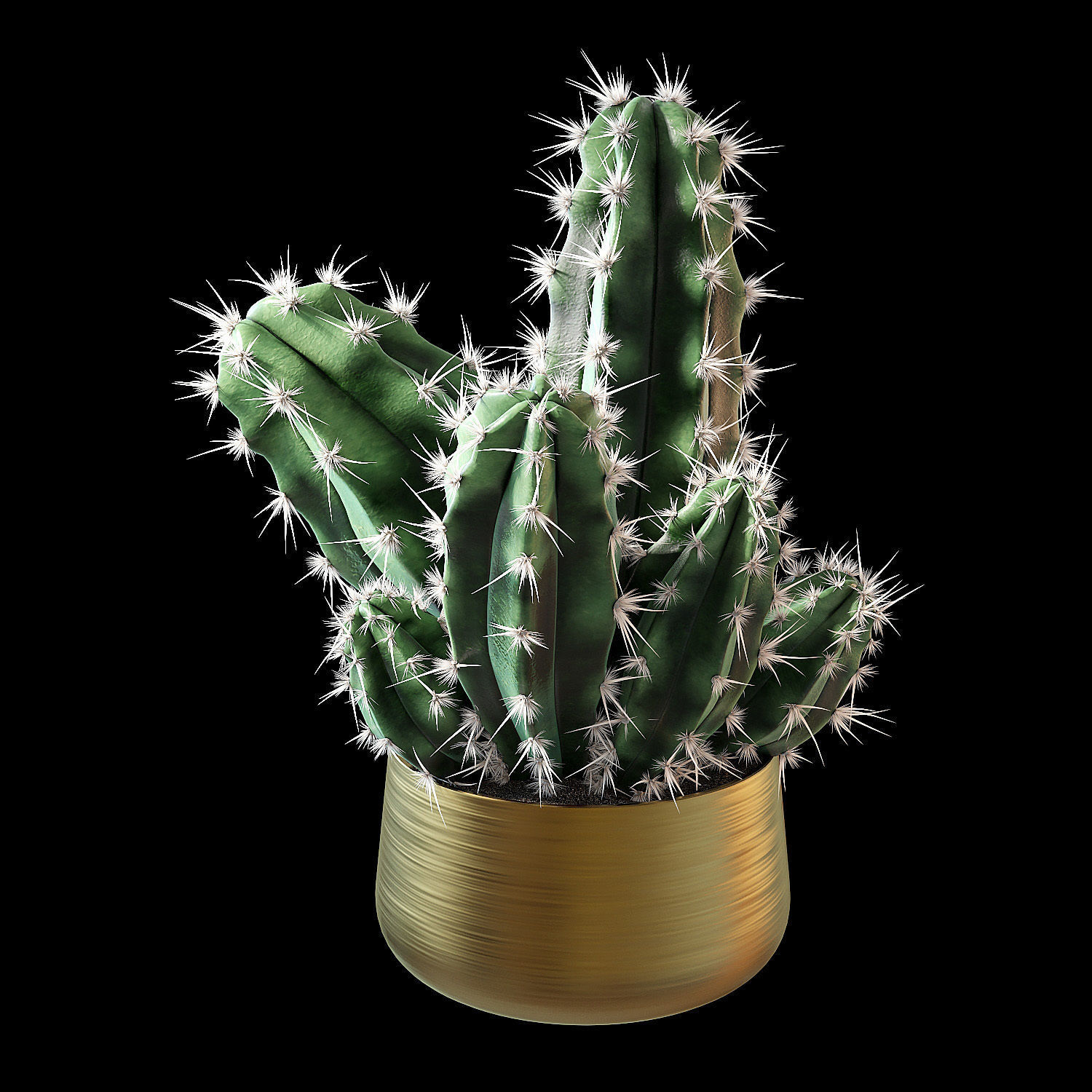 Set of plants 02 3D model_1
