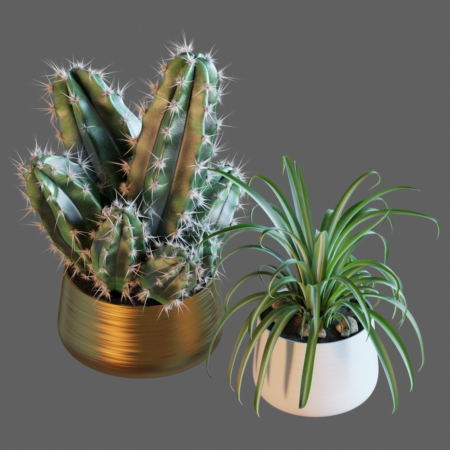 Set of plants 02 3D model_5