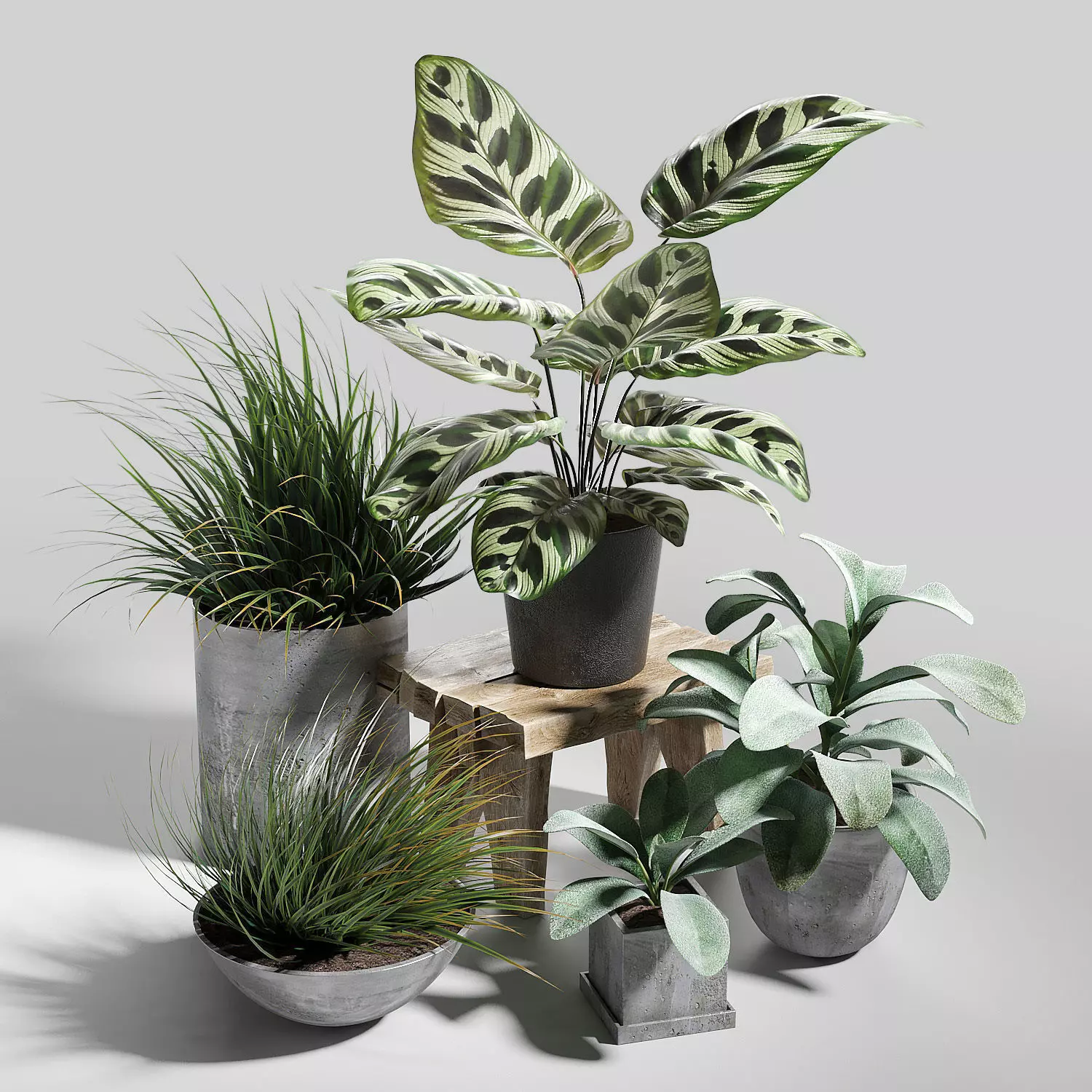Set of plants 03 3D model_0