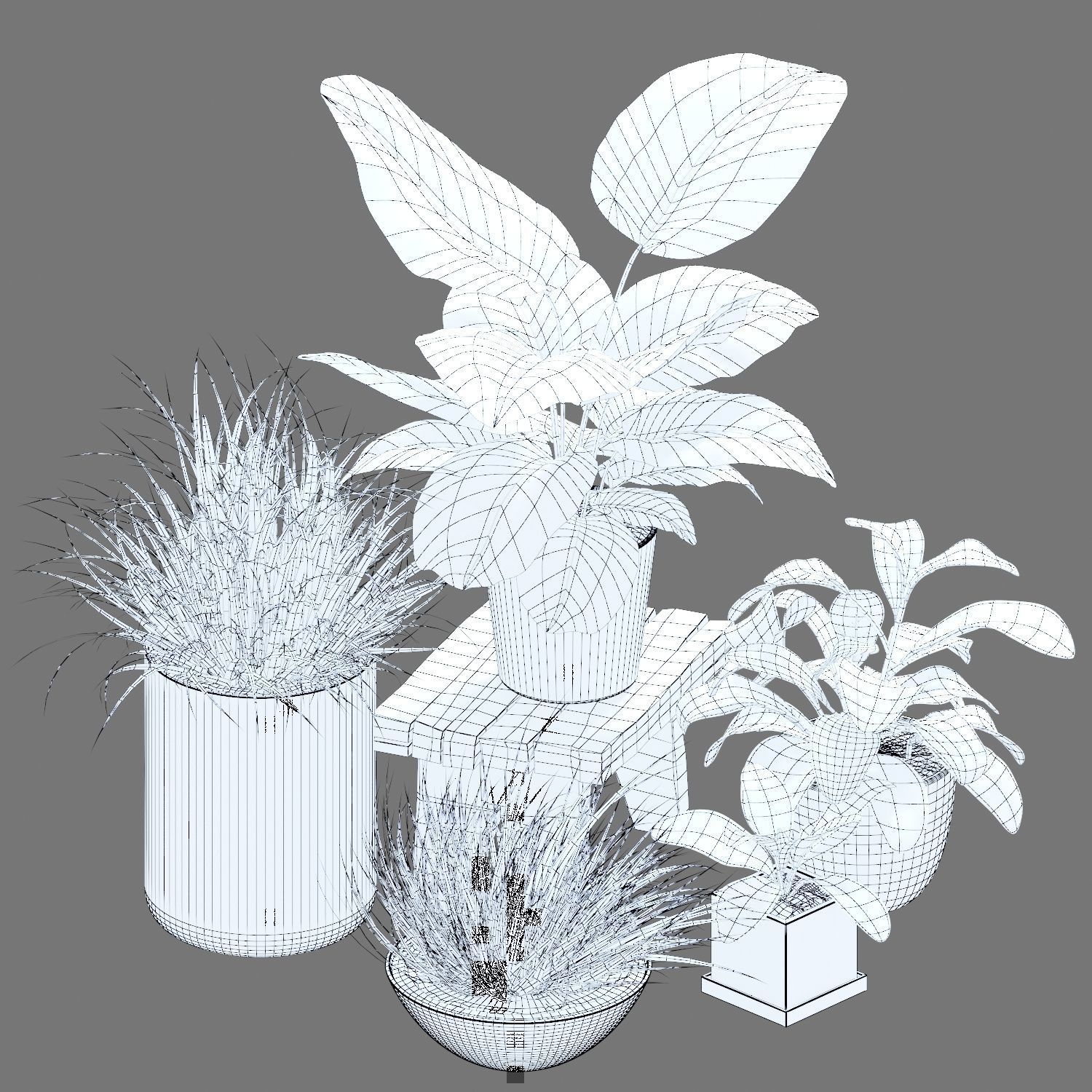 Set of plants 03 3D model_5