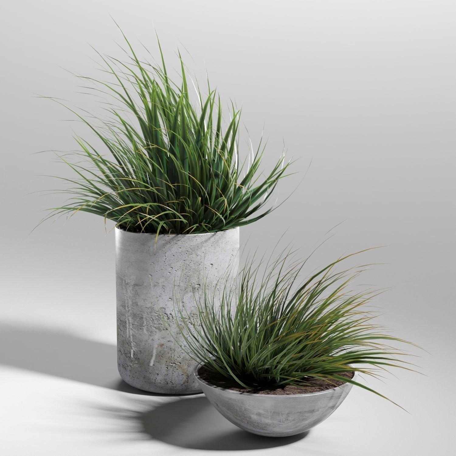 Set of plants 03 3D model_2