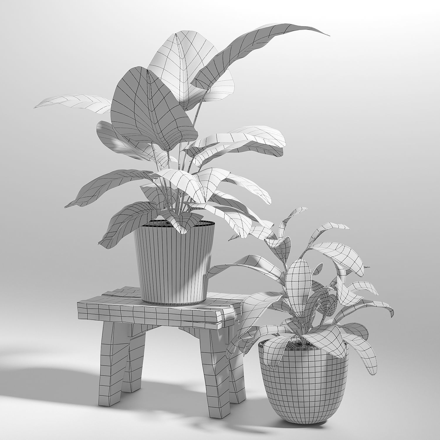 Set of plants 03 3D model_10