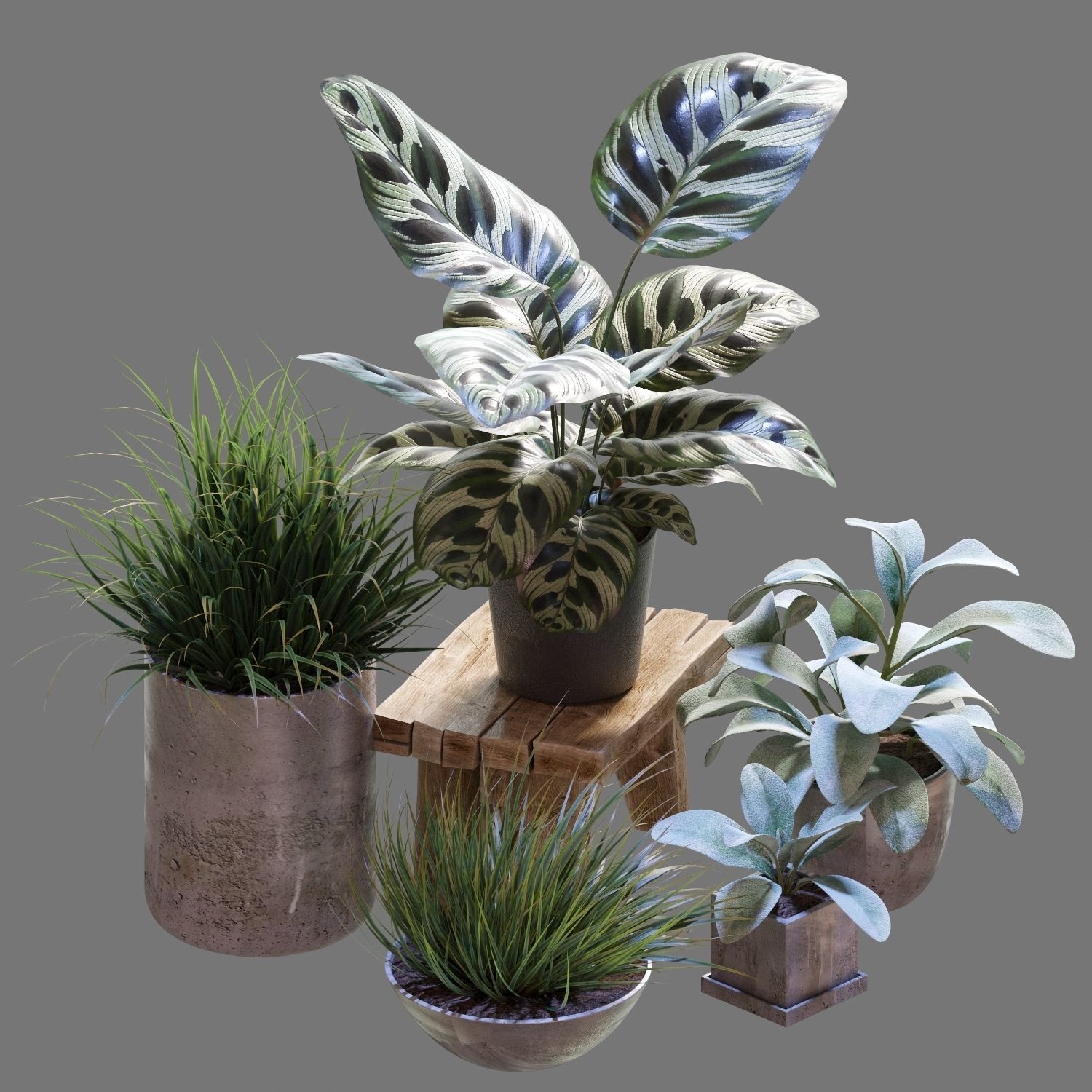 Set of plants 03 3D model_4