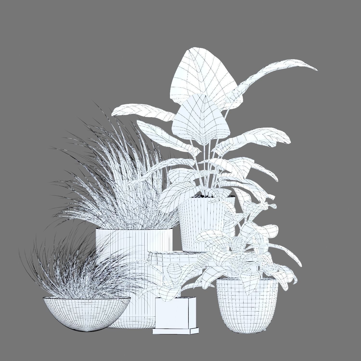 Set of plants 03 3D model_8