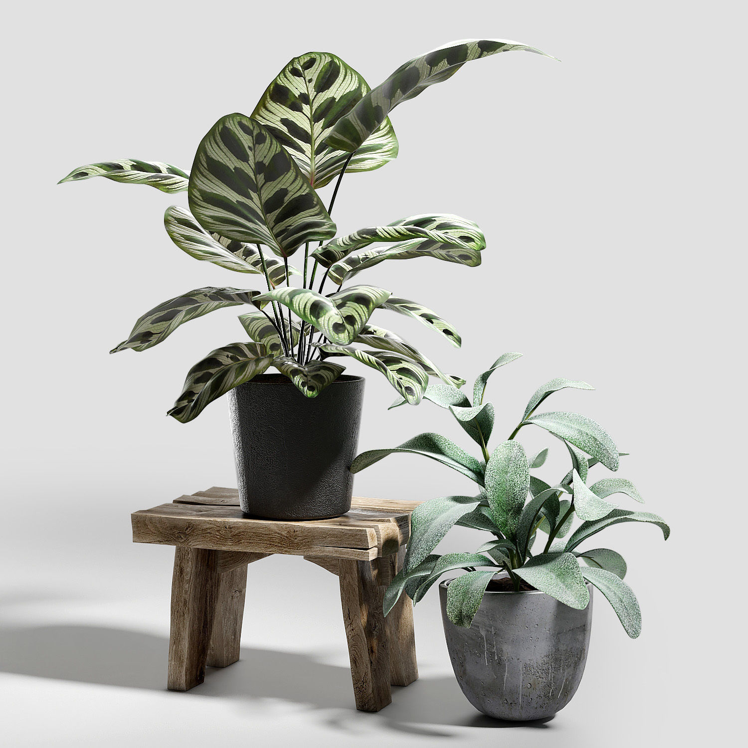 Set of plants 03 3D model_1