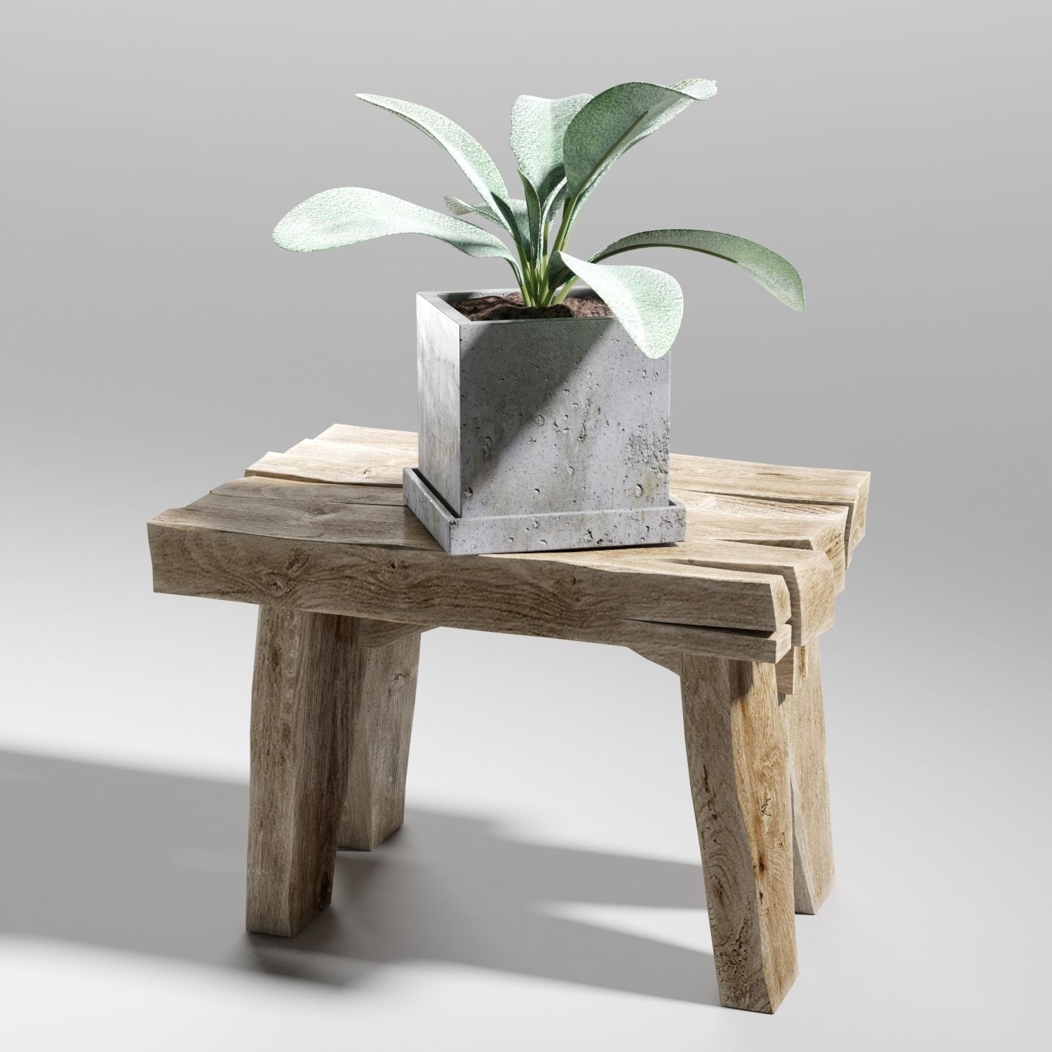 Set of plants 03 3D model_3