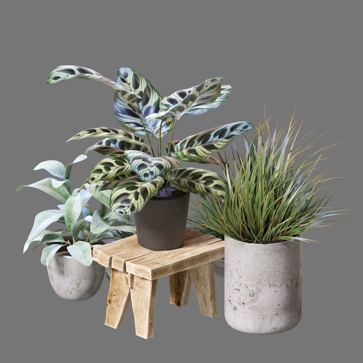 Set of plants 03 3D model_6