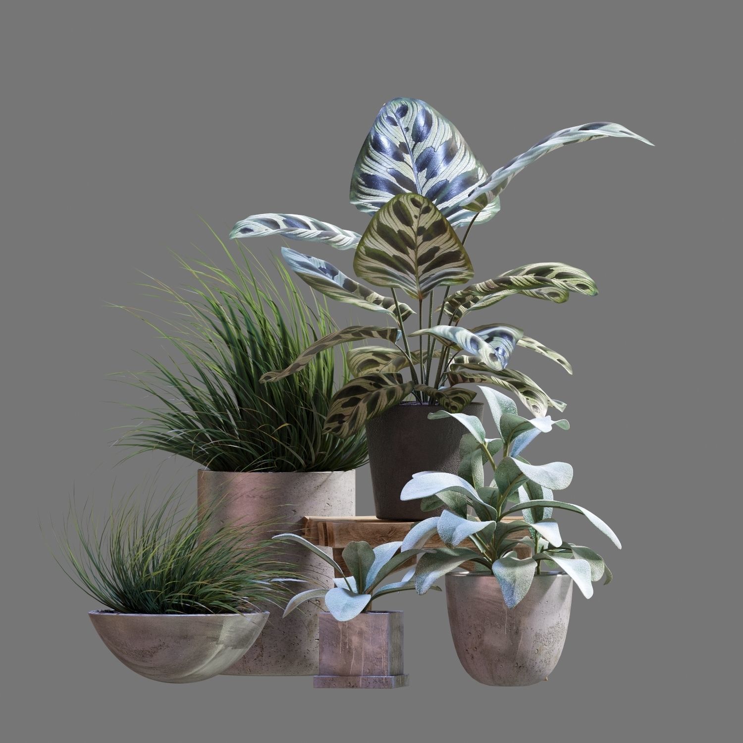Set of plants 03 3D model_7